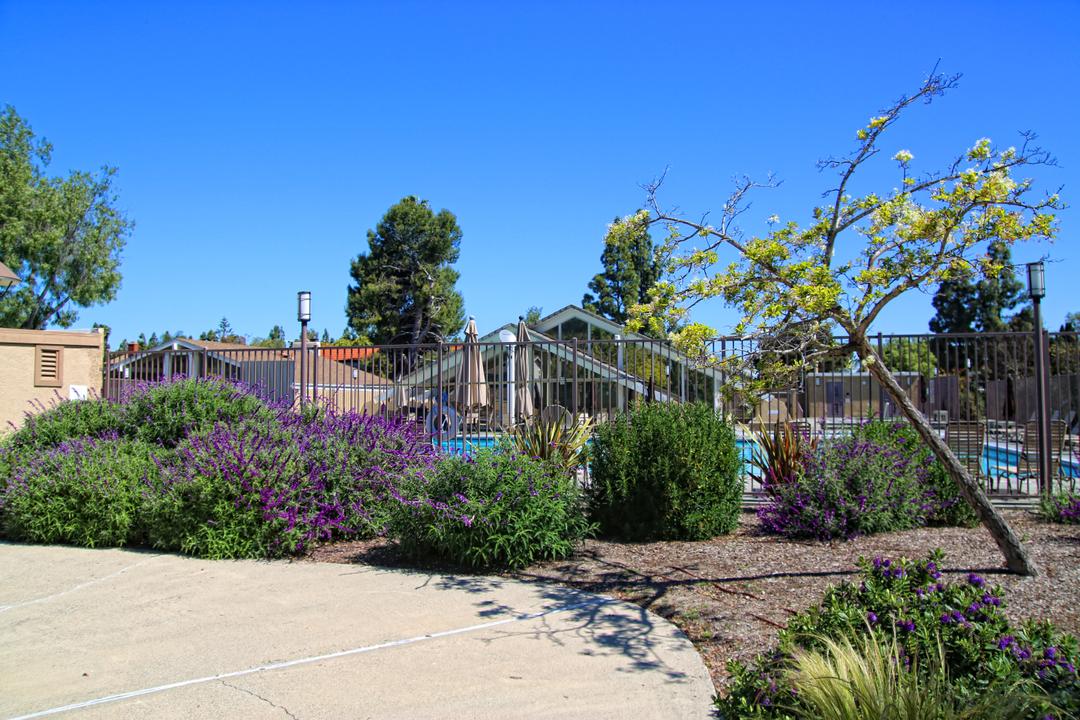Work Image